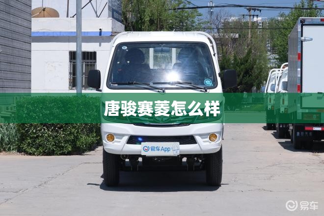 唐骏赛菱怎么样 唐骏赛菱怎么样