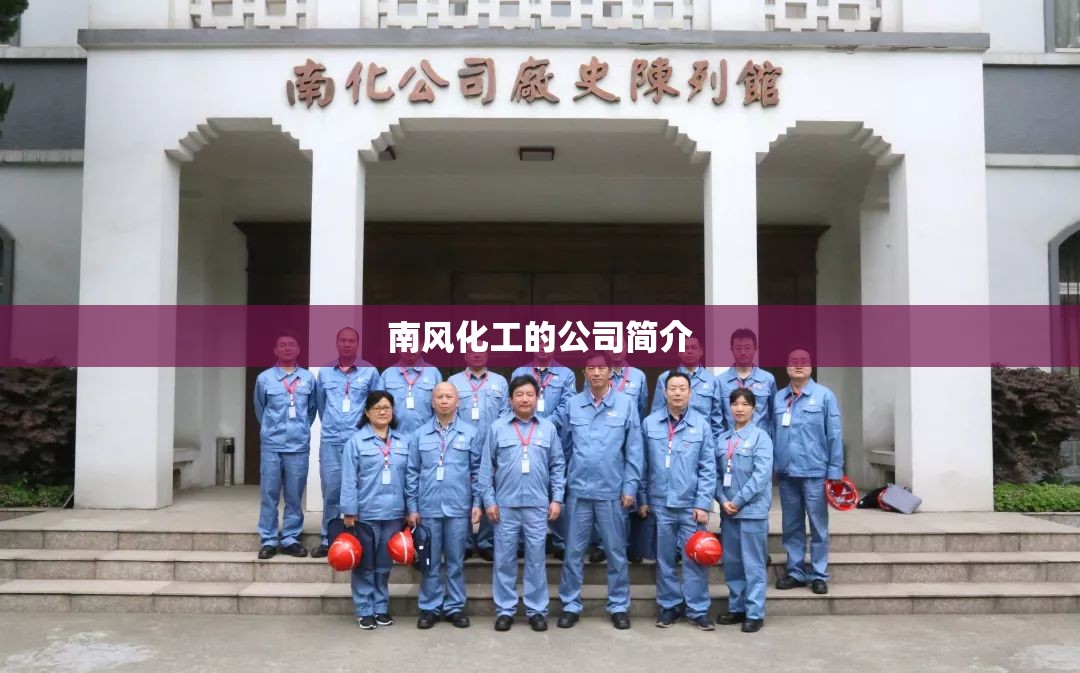 南风化工的公司简介