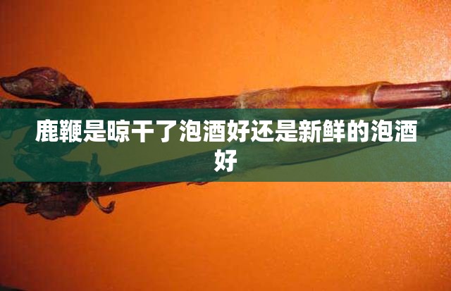 鹿鞭是晾干了泡酒好还是新鲜的泡酒好