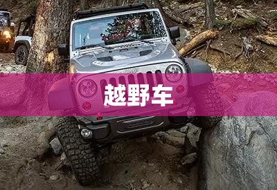 越野车 越野车