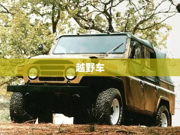 越野车 越野车